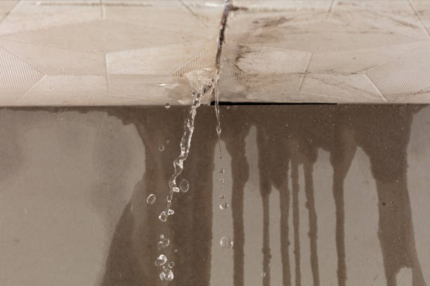 Professional Structural Drying technician working in Harmony, PA